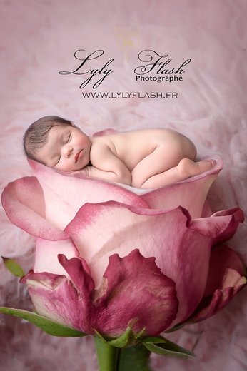 Studio photo Lyly Flash - Photographe - 1 Studio photo Lyly Flash - Photographe - 1