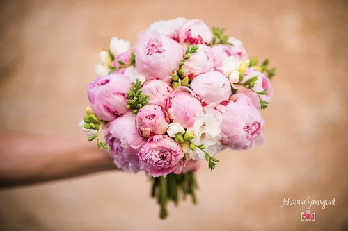 Johanna Sarniguet Photographe - Photographe mariage - 1 Johanna Sarniguet Photographe - Photographe mariage - 1